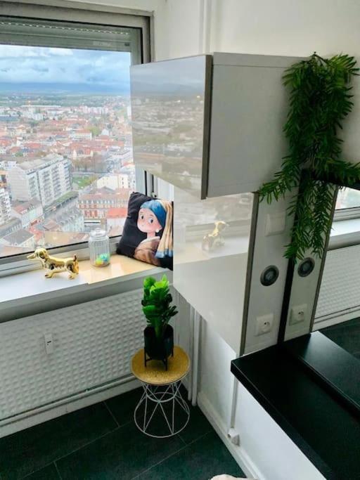 Grand Appartement 2 Chambres 5 Pers Max, Vue Panoramique Avec Parking Mulhouse Eksteriør bilde
