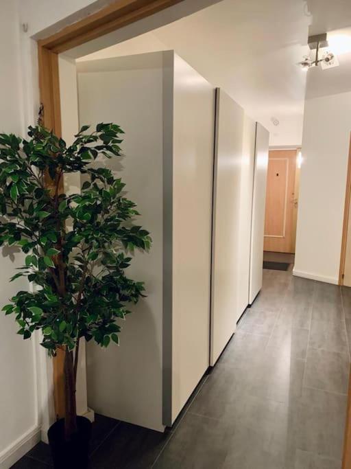 Grand Appartement 2 Chambres 5 Pers Max, Vue Panoramique Avec Parking Mulhouse Eksteriør bilde