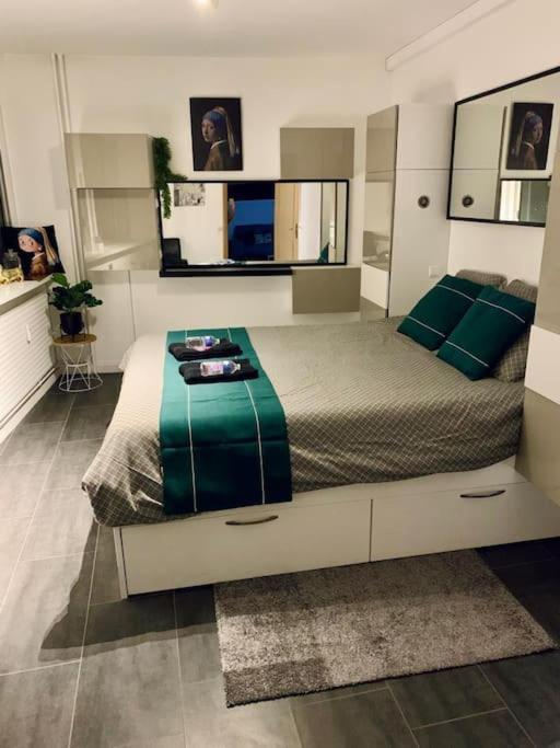 Grand Appartement 2 Chambres 5 Pers Max, Vue Panoramique Avec Parking Mulhouse Eksteriør bilde