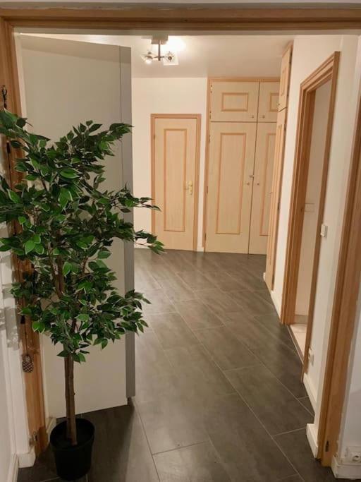 Grand Appartement 2 Chambres 5 Pers Max, Vue Panoramique Avec Parking Mulhouse Eksteriør bilde
